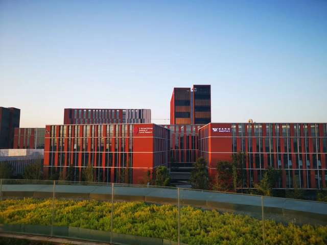 洋河镇孝敬老爸的白酒生产工艺