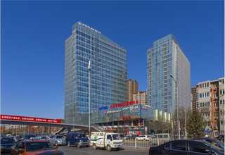 合肥学校仿真植物销售